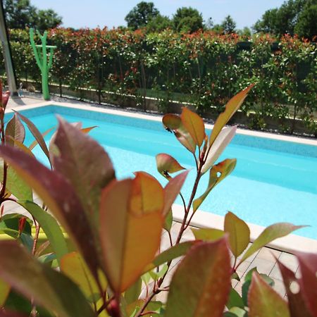Apartments Green Garden Labinci Ngoại thất bức ảnh