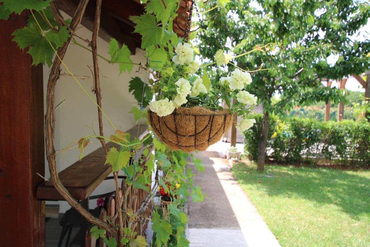 Apartments Green Garden Labinci Ngoại thất bức ảnh